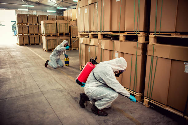Trusted Niwot, CO Pest Control Experts