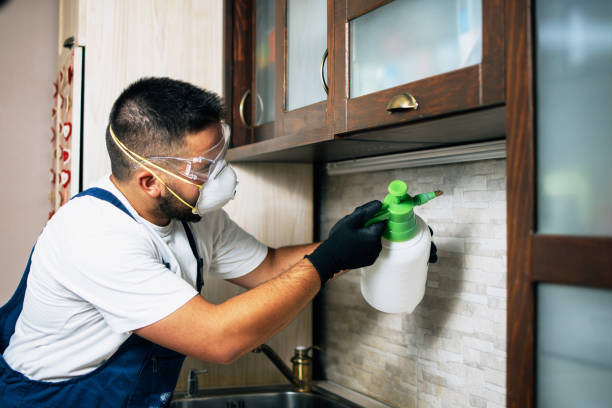 Best Best Pest Control Companies  in Niwot, CO