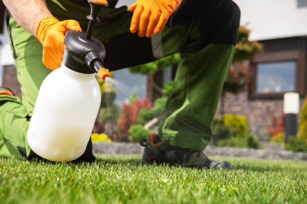 Best Affordable Pest Control Services  in Niwot, CO