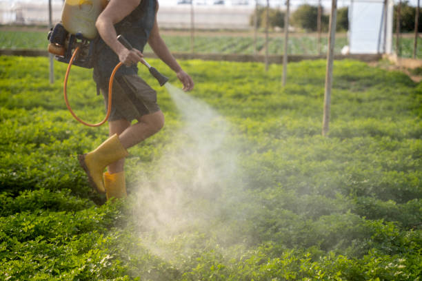 Best Commercial Pest Control Services  in Niwot, CO