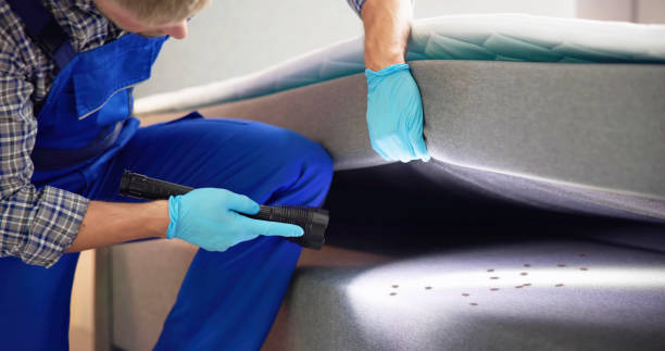 Best Pest Prevention Services  in Niwot, CO