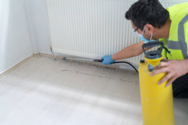 Best Emergency Pest Control  in Niwot, CO