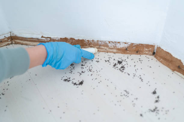 Best Best Pest Control Companies  in Niwot, CO